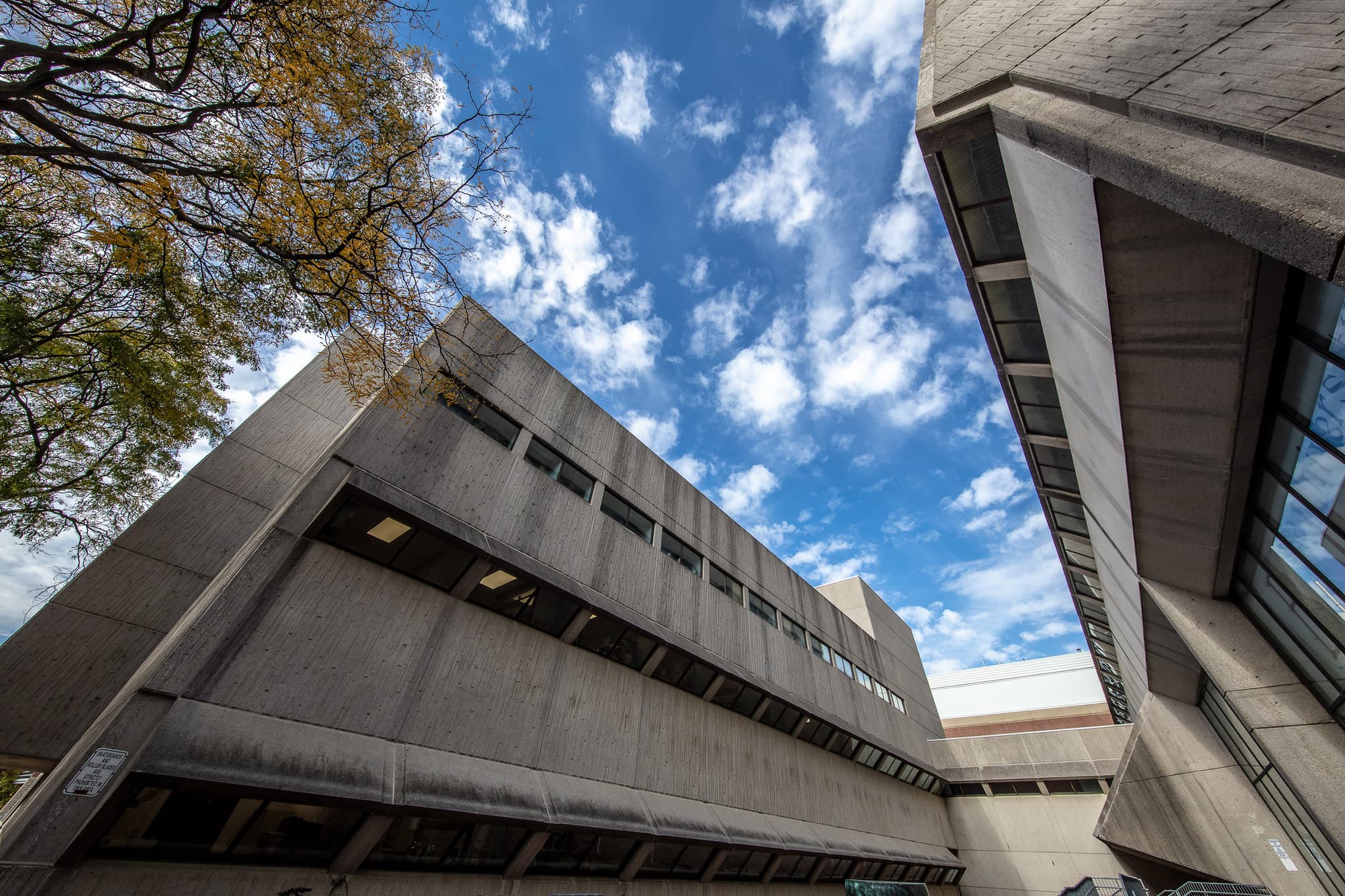 artistic view of McNaughton building using wide-angle lens looking up