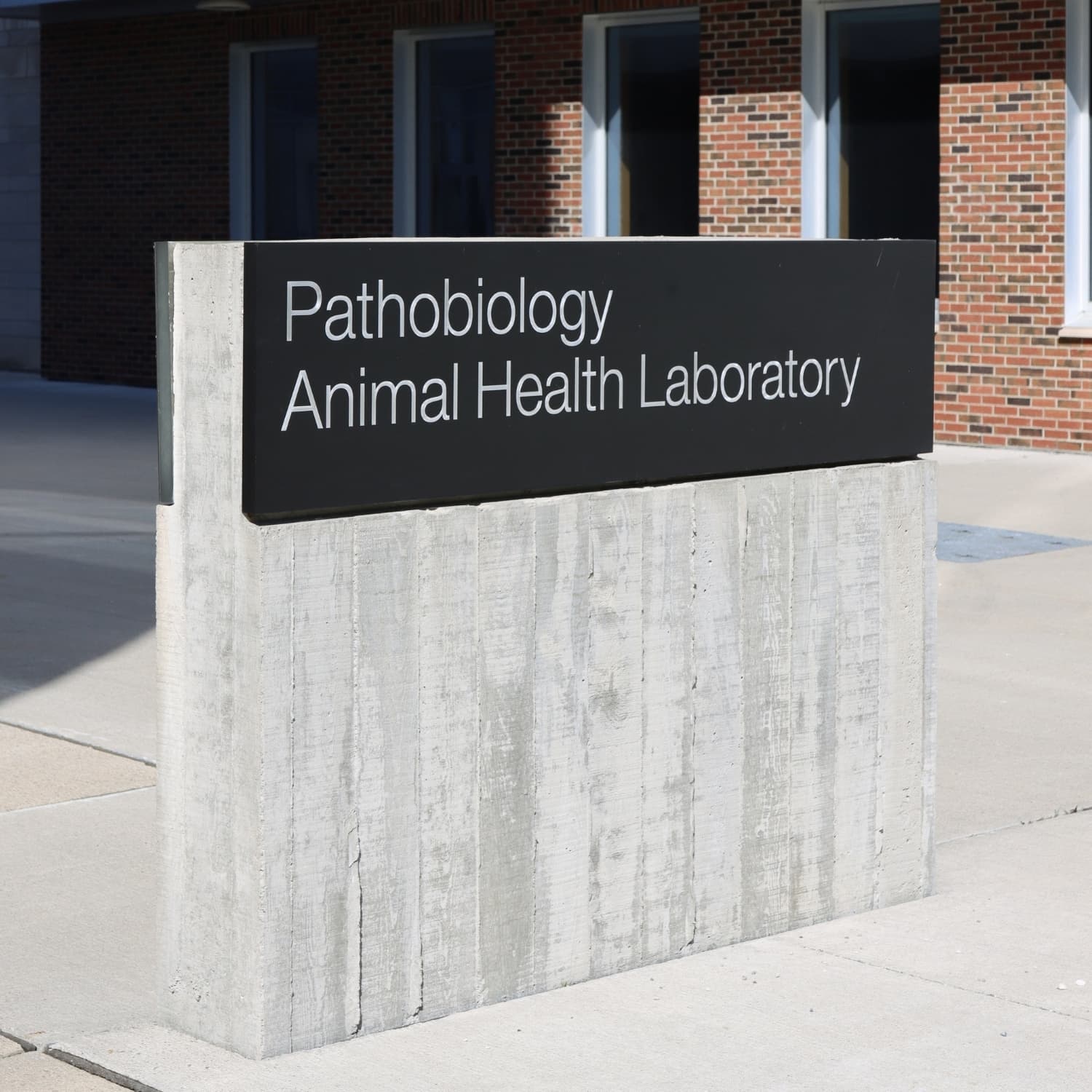 ovc pathobiology