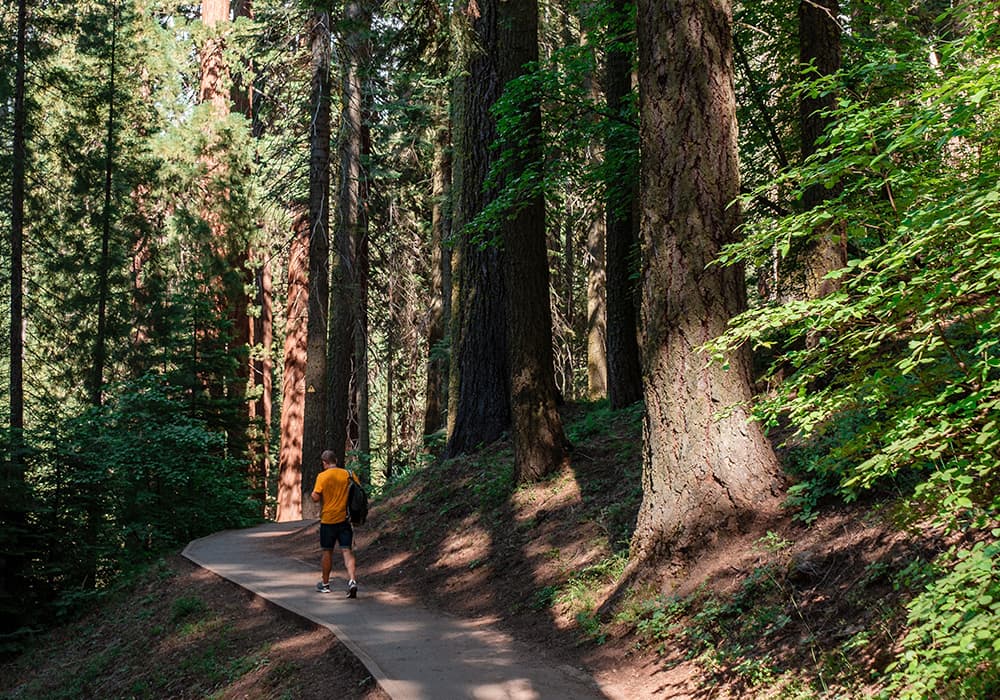 Hills and Trails
