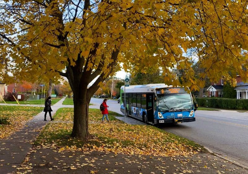 Guelph Transit