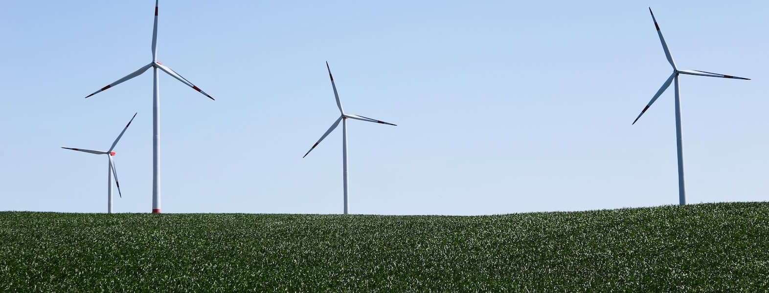 a photo of windmills in a field