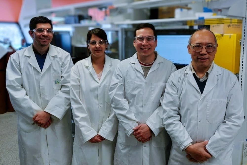 Scientists in a UofG lab