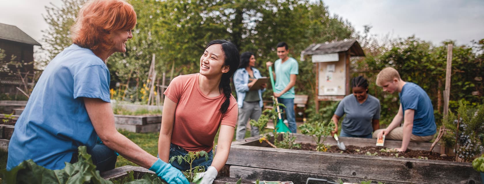 Group of people working at a community garden.