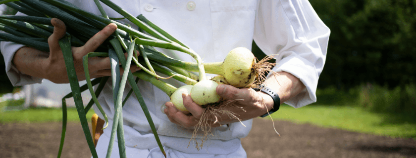 Chef holding onion bunch.